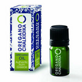 Wild oregano oil BIO ECO in drops (10 ml - 240 drops)
