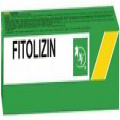 FITOLIZIN Phytolisin paste 100g Herbal Treatment Support 09/2025