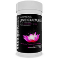 Women's Live Cultures and Fibre by Intelligent Labs, with Sunfiber & FOS, Crantiva Cranberry Extract & D-Mannose, 6 Billion CFU Live Cultures, 60 Vegetarian Capsules