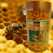 Costar Royal Jelly 1450mg 365 Soft Gel Capsules Australian Made