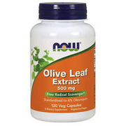 Olivenblatt Extrakt 500mg 120 Veg Kapseln Immune Stütze Antibakteriell Detox
