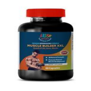 weight Loss - Muscle Builder XXL - Libido - Premium Formula - 1B 60Ct