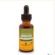 Herb Pharm Angelica Extract 1 oz Liquid