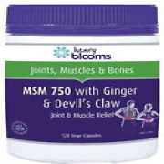 Henry Blooms MSM 750 with Ginger 1000mg & Devils Claw 120 Vegetarian Capsules