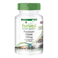 Fairvital | Potassium Citrate 900mg - Vegan - HIGH Dosage - 90 Capsules - 300mg Potassium per Capsule